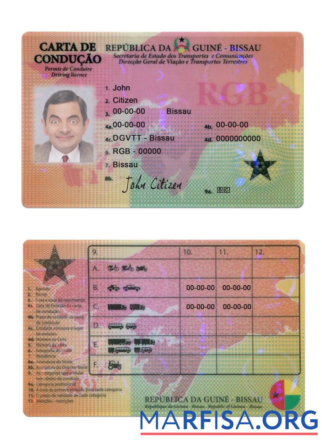 Downloadable Guine Bissau driving license sample